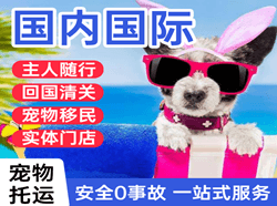 宁远航空托运国际宠物托运 【国